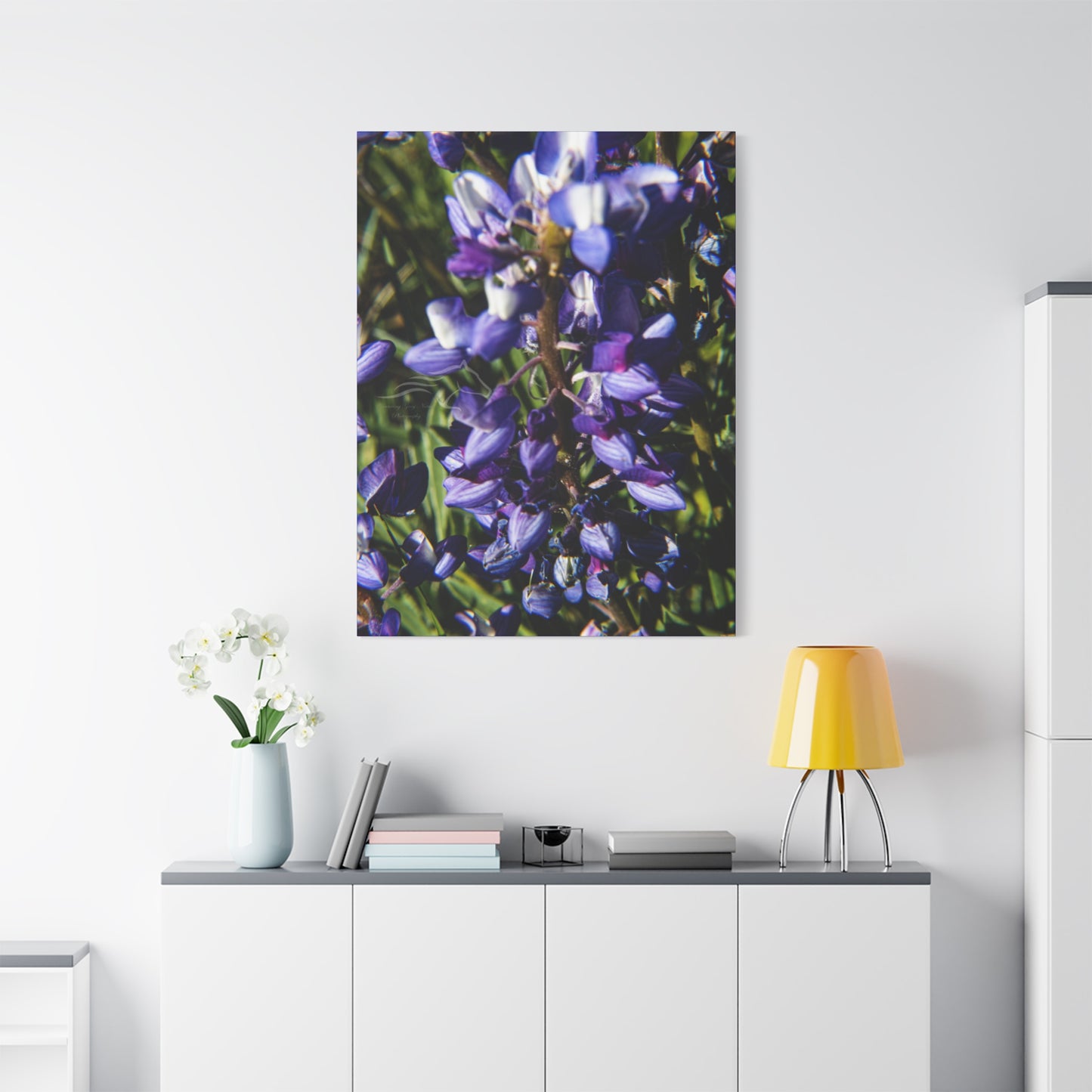 Arctic Lupine Canvas