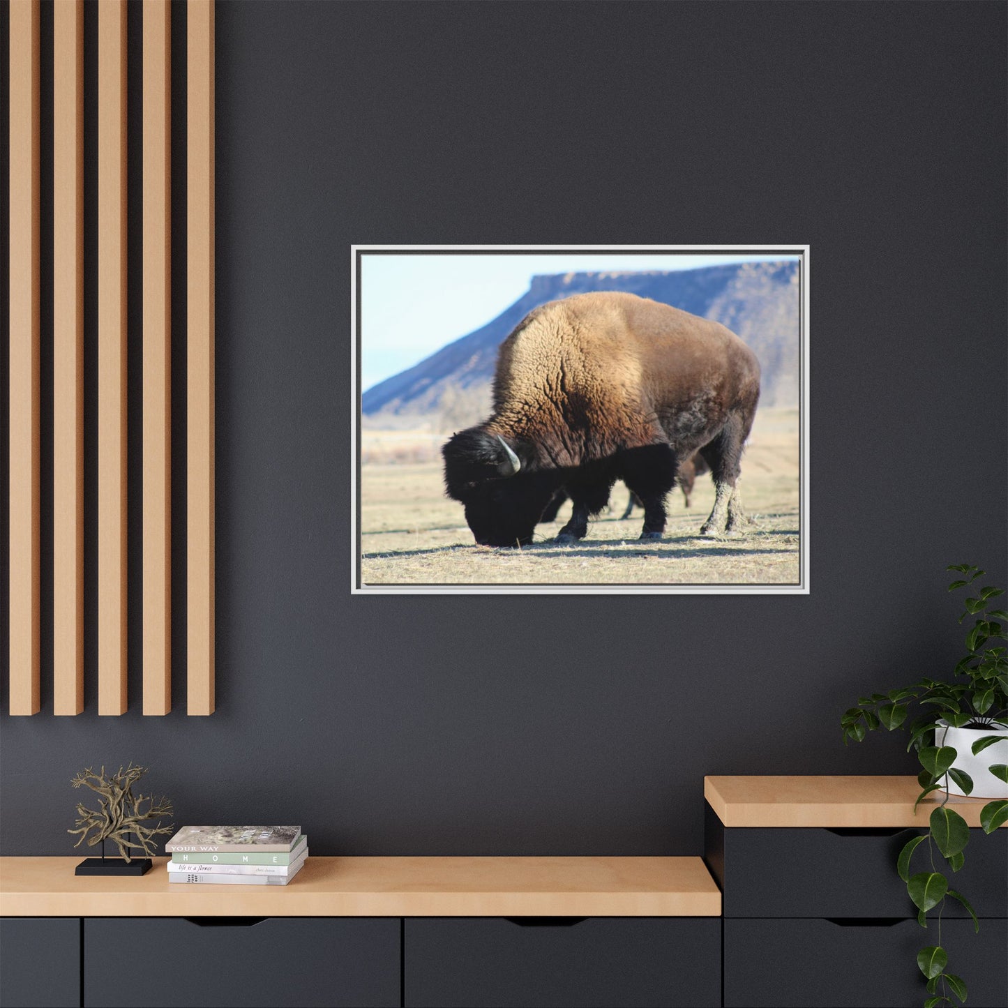 Big Daddy Buffalo Framed Canvas