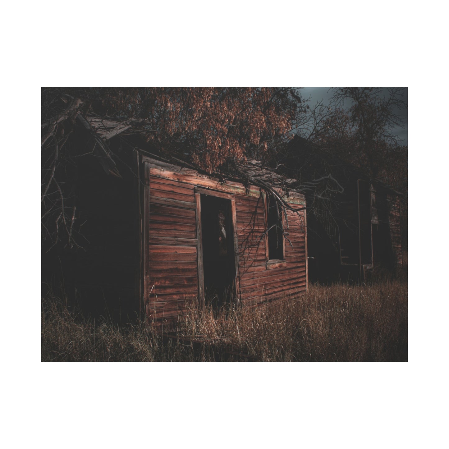 Haunting Rustic Canvas