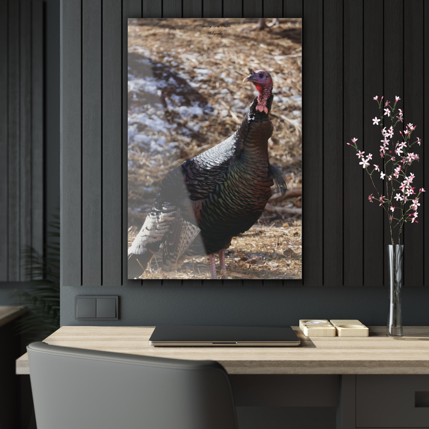 Colorful Turkey Acrylic Prints