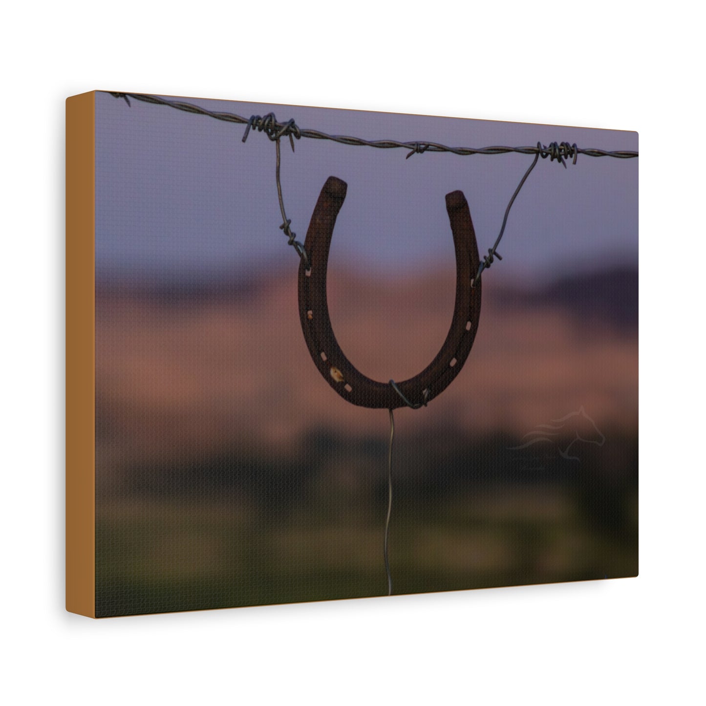 Rustic Horseshoe Canvas