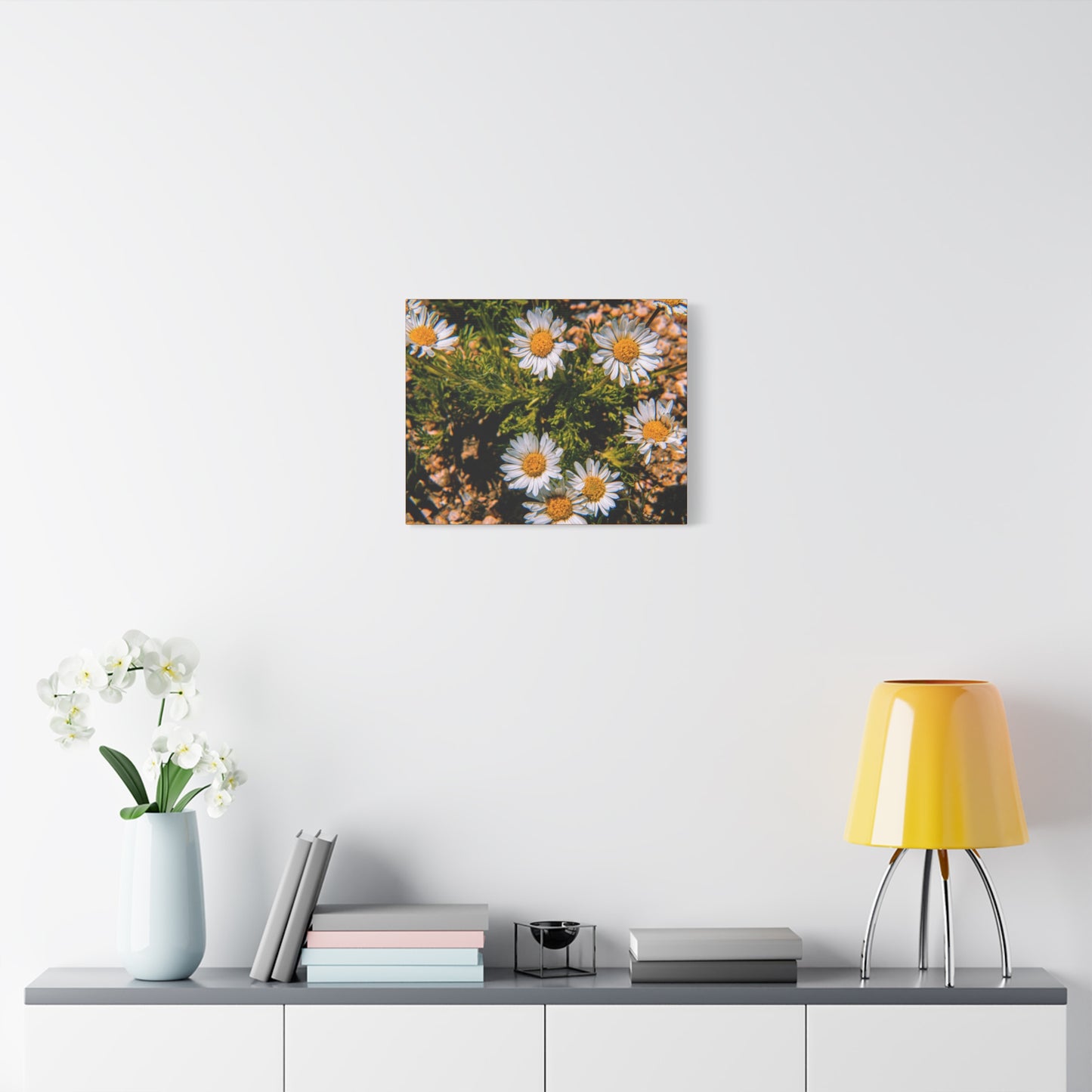 Wild Daisy Canvas
