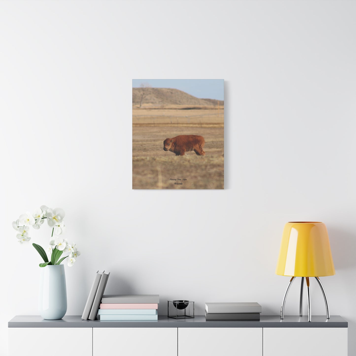 Baby Buffalo Matte Canvas, Stretched, 1.25"