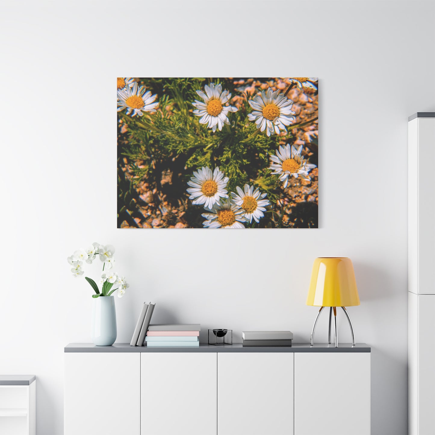 Wild Daisy Canvas