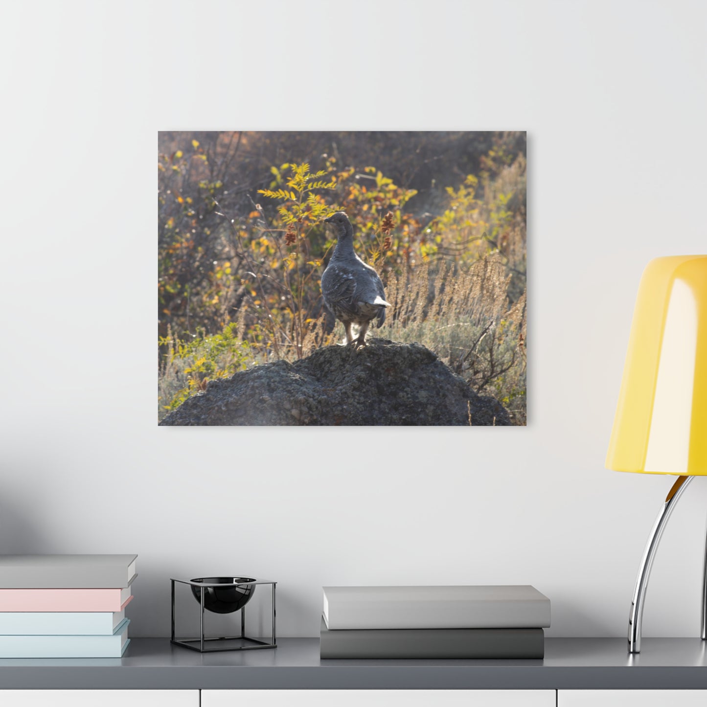 Wyoming Sage Grouse Acrylic