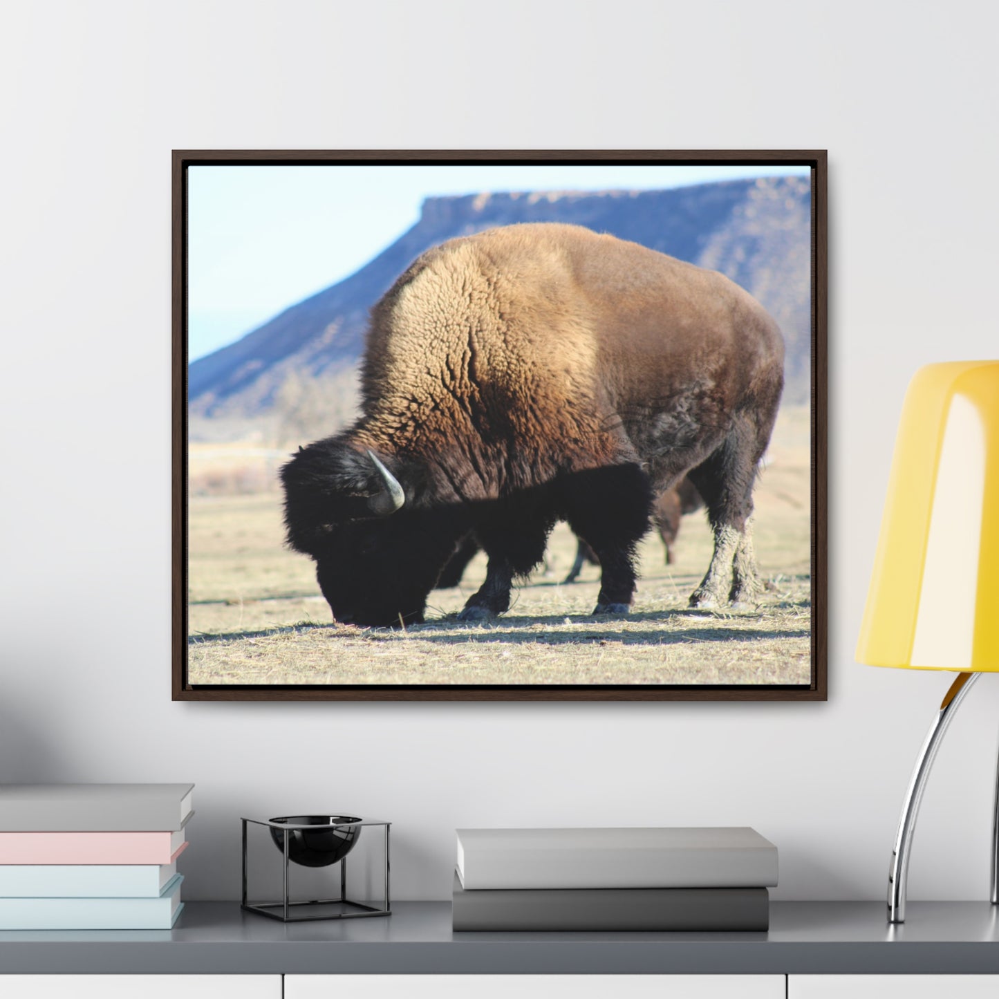 Big Daddy Buffalo Gallery Canvas Wraps, Horizontal Frame