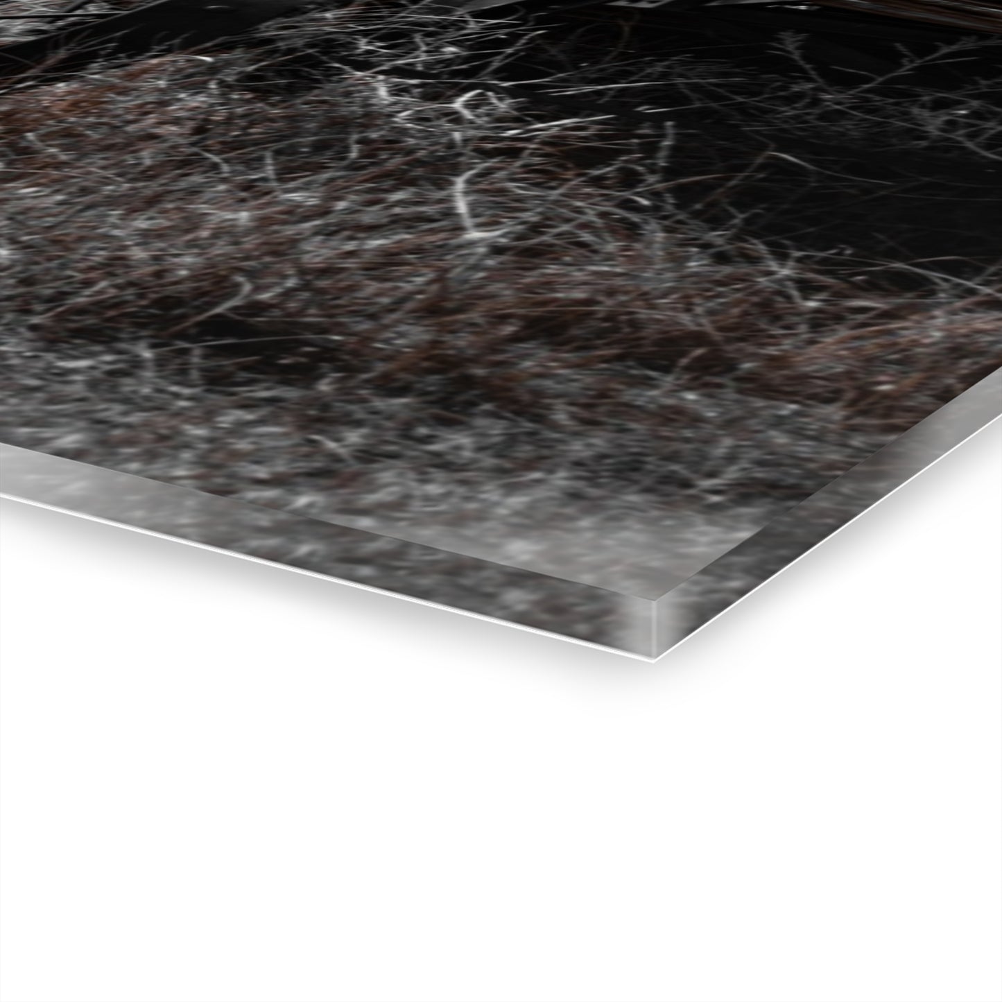 Rustic Black and White Wagon Acrylic