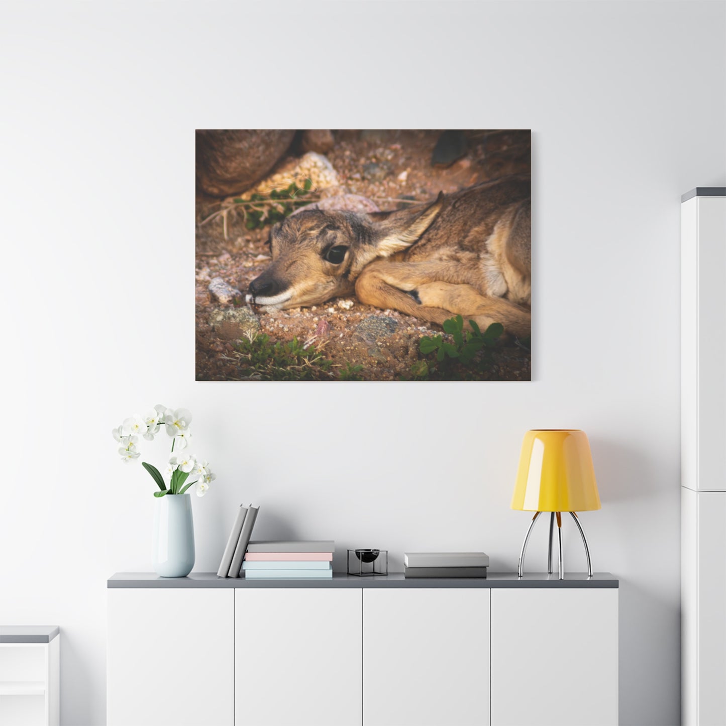 Baby Antelope Canvas