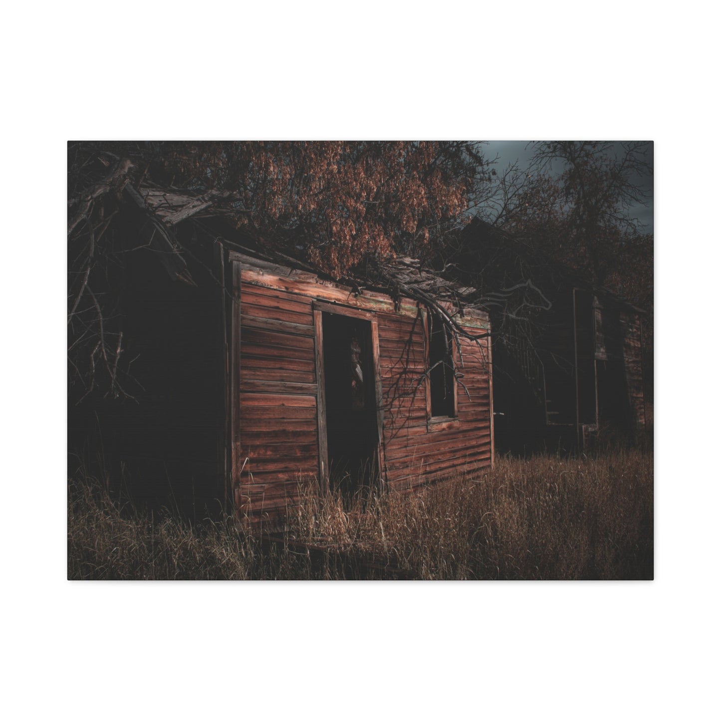 Haunting Rustic Canvas