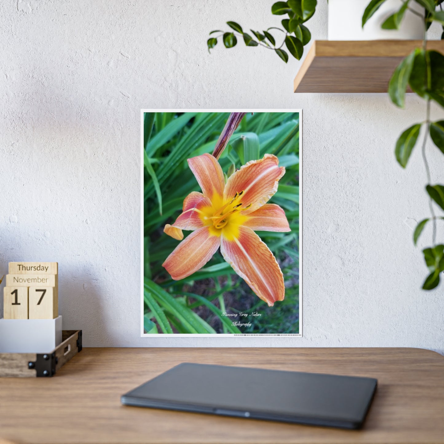 Posters Board Orange Day Lily