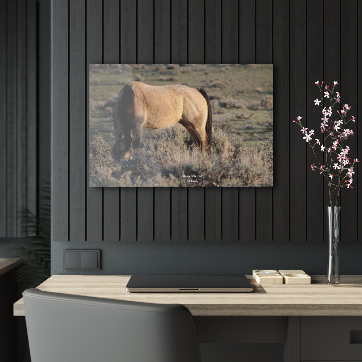 Buckskin Acrylic Prints