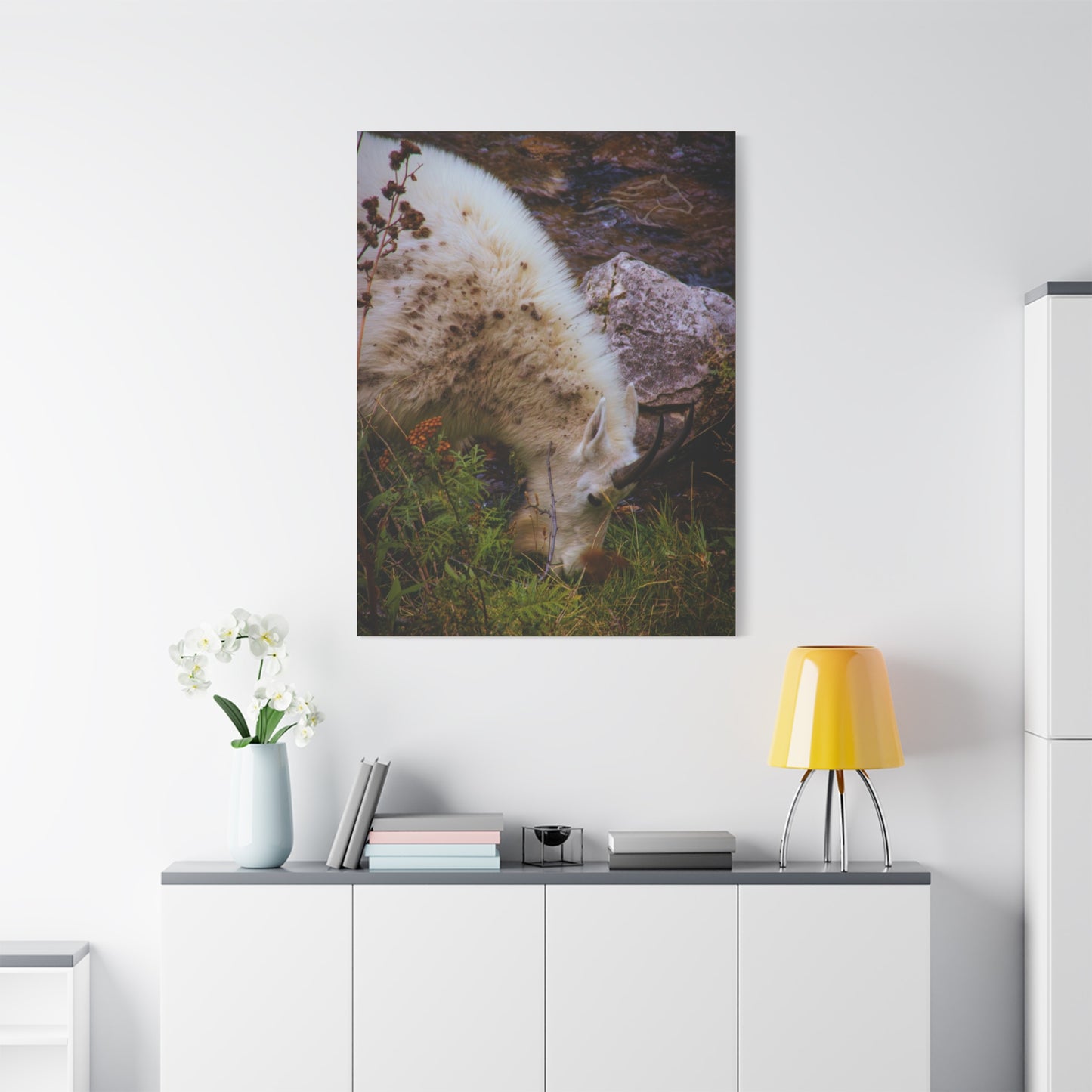Mountain Goat Canvas