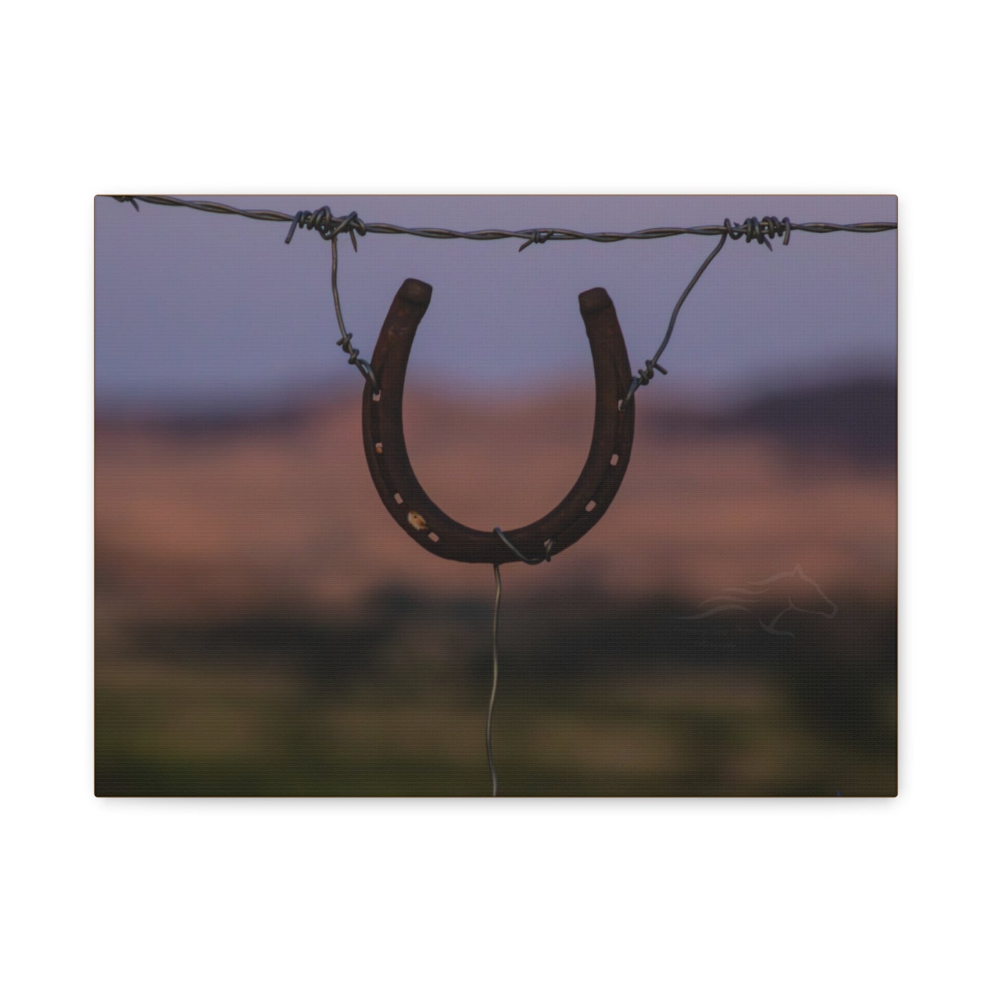 Rustic Horseshoe Canvas