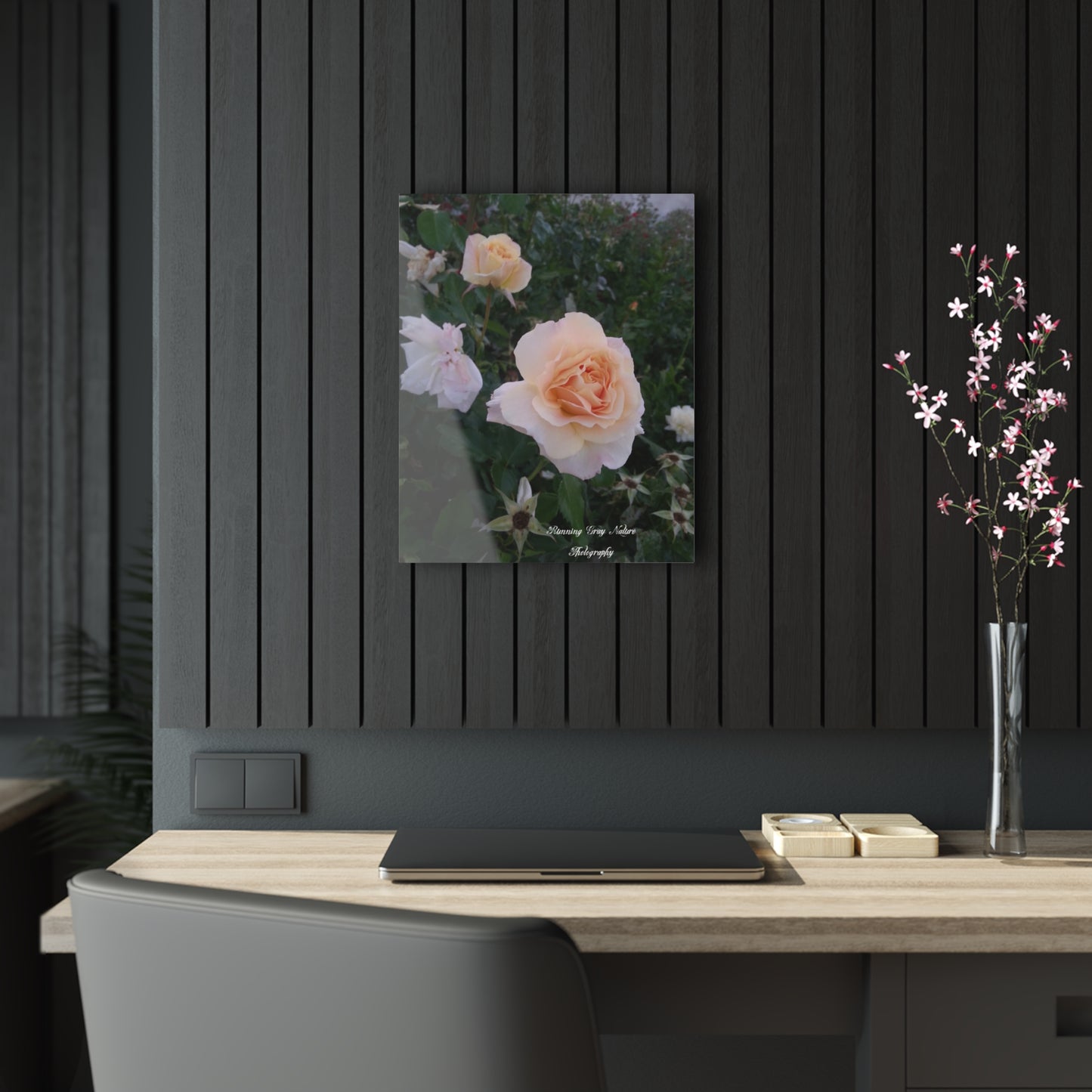 White Roses Acrylic Prints