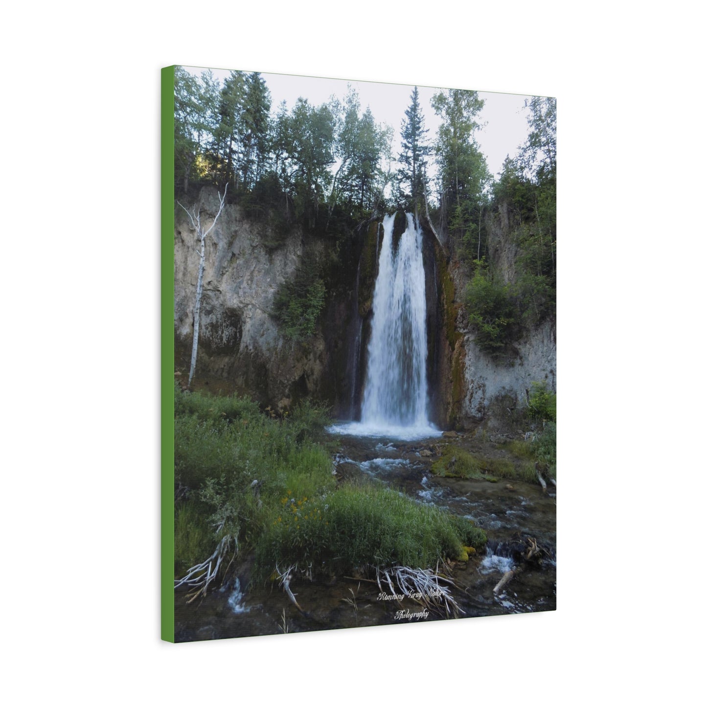 Spearfish Canyon Waterfall Matte Canvas, Stretched, 1.25"