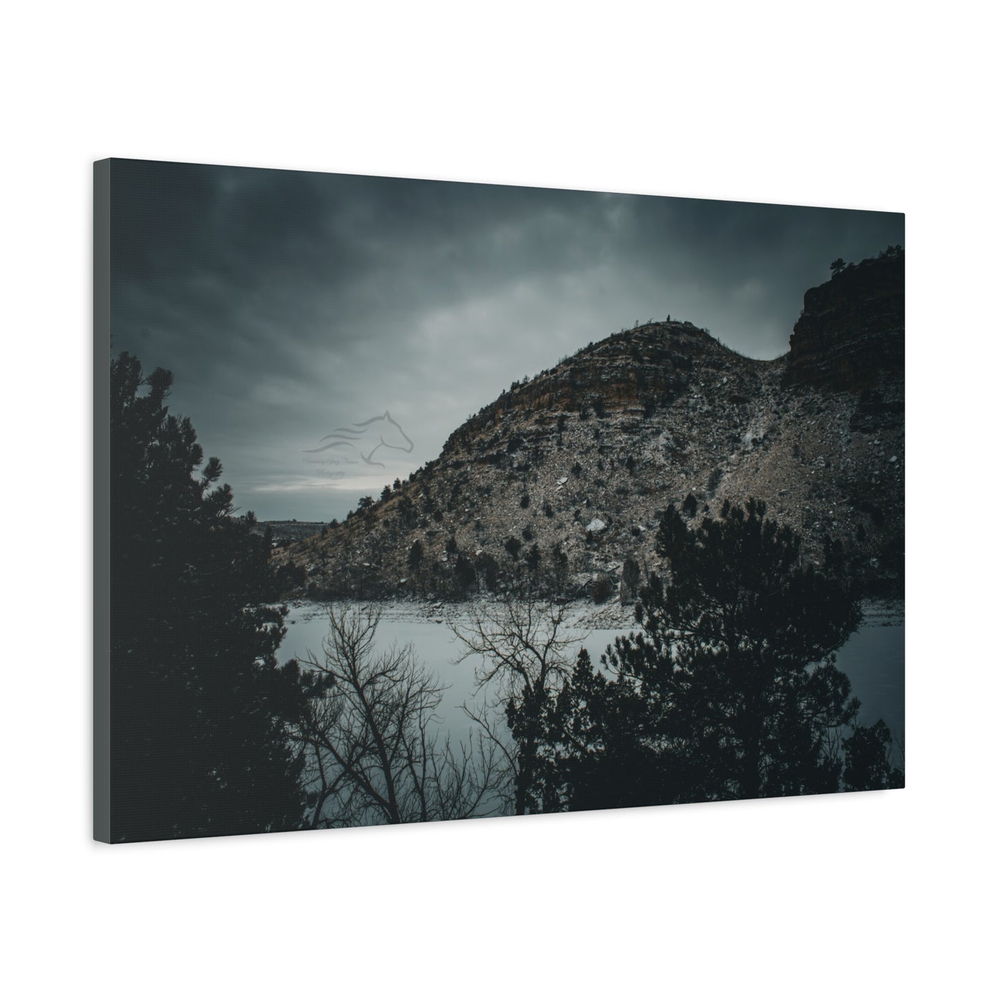 Moody Landscape Canvas