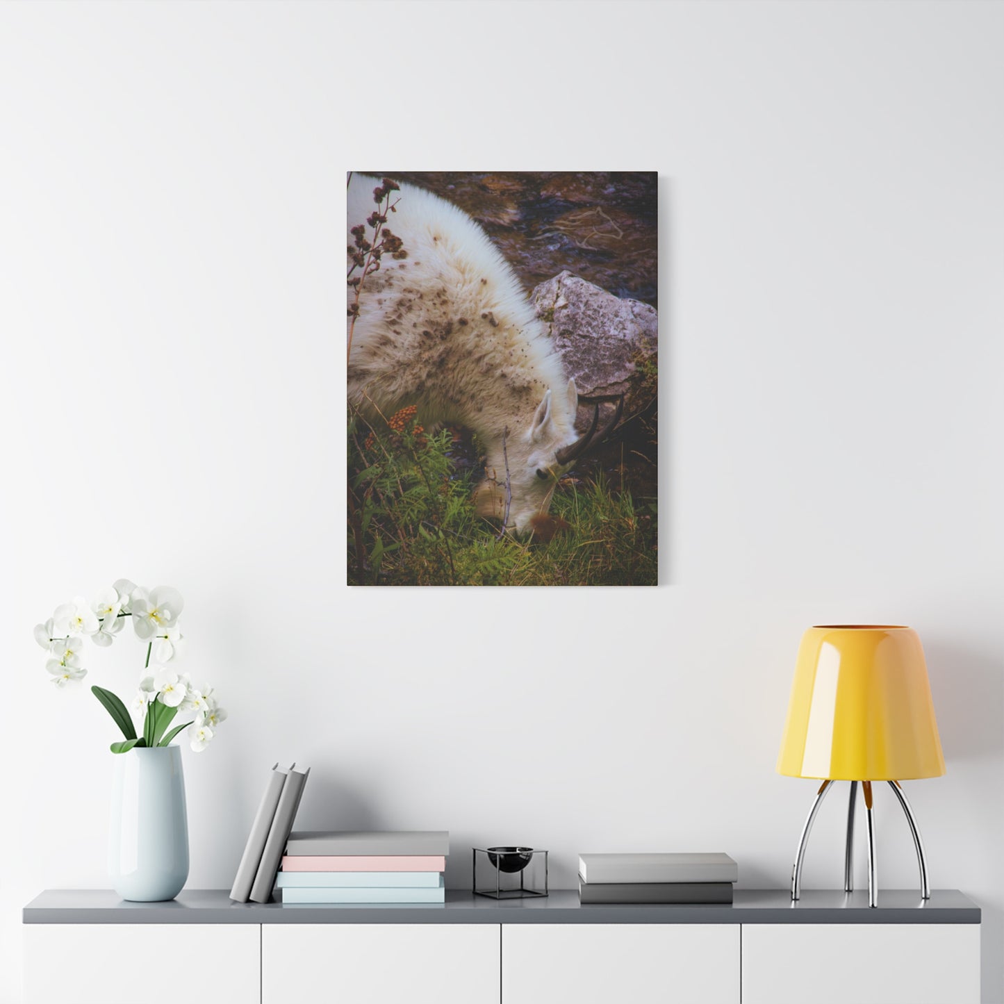 Mountain Goat Canvas