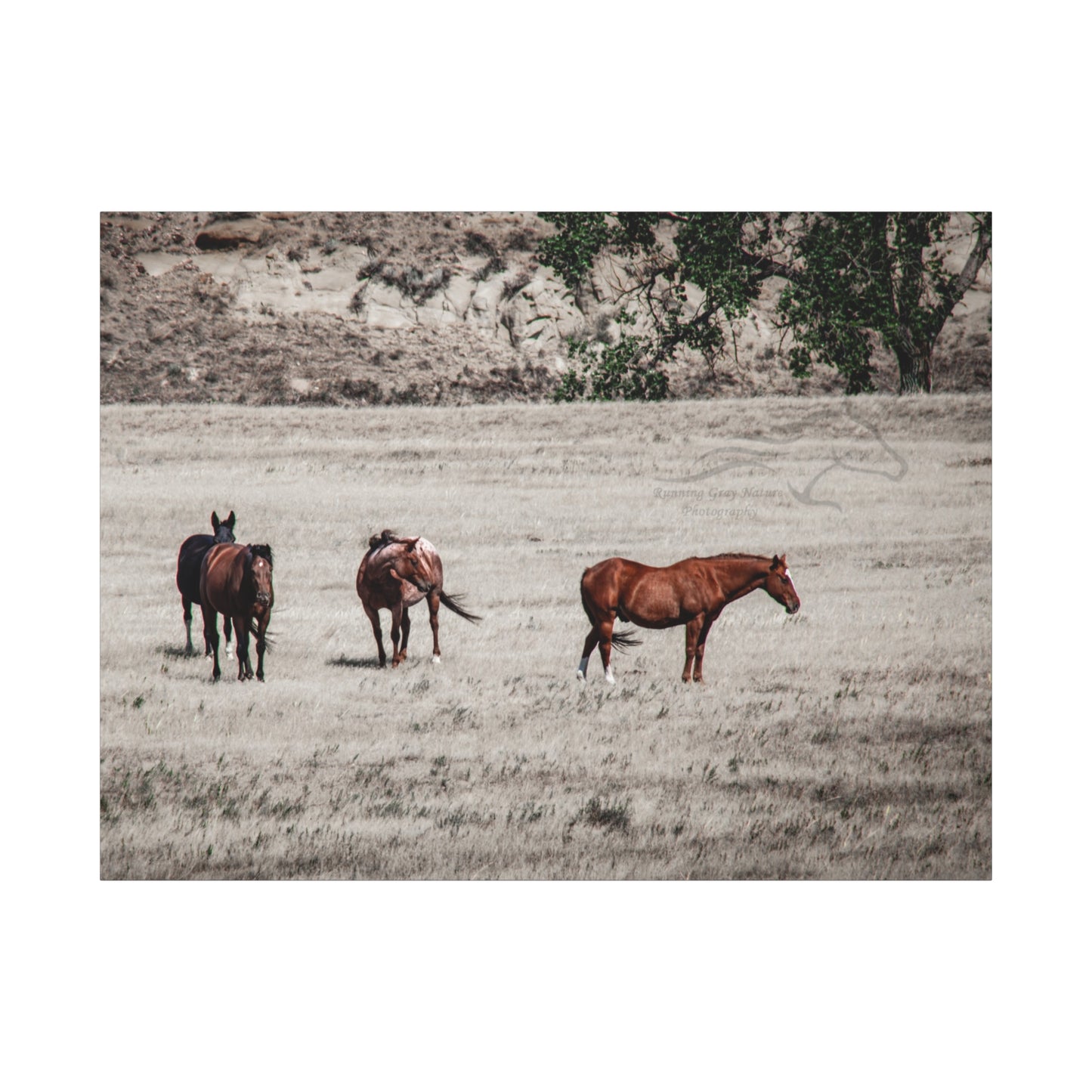 Not everything is Black and White