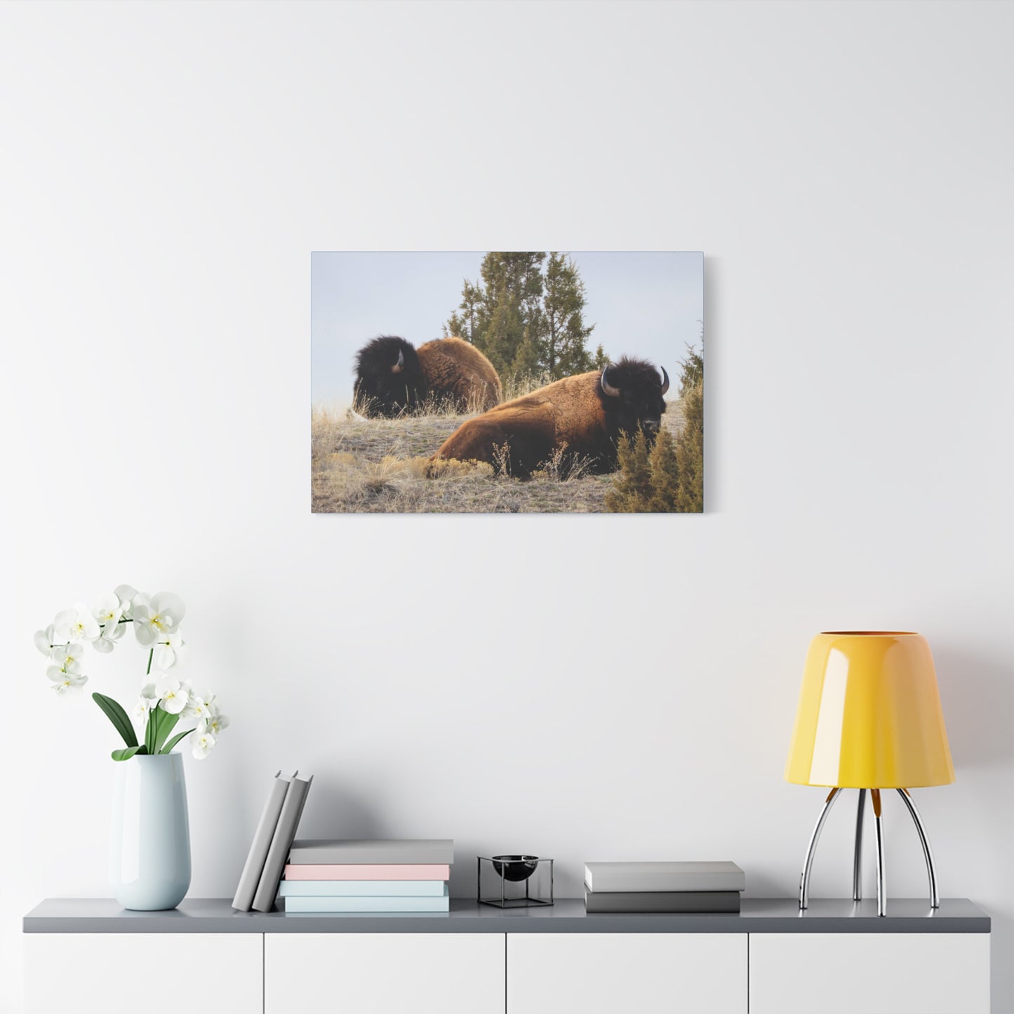 Two Bull Buffalo Canvas