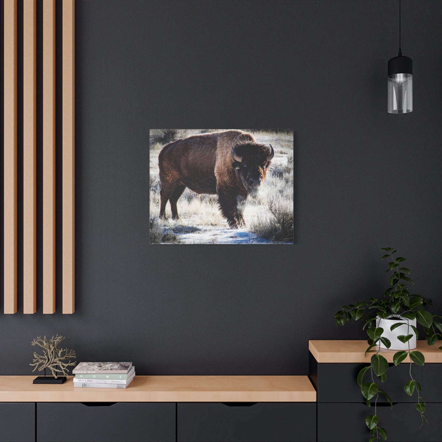 Early Morning Buffalo Canvas