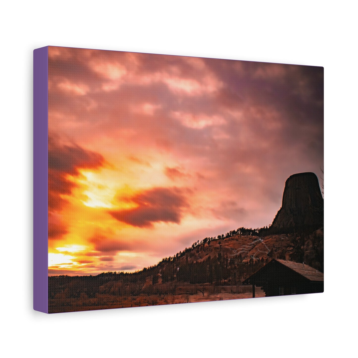 Devils Tower Canvas