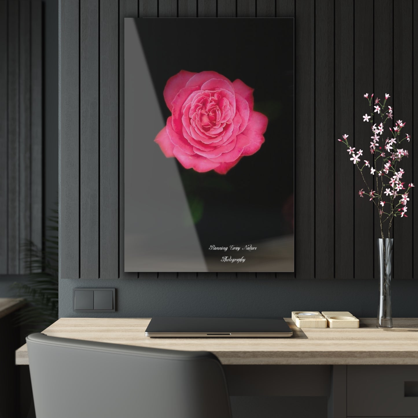 Pink Peace Rose Acrylic Prints