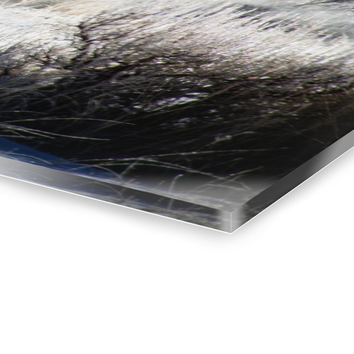 Early Morning Buffalo Acrylic