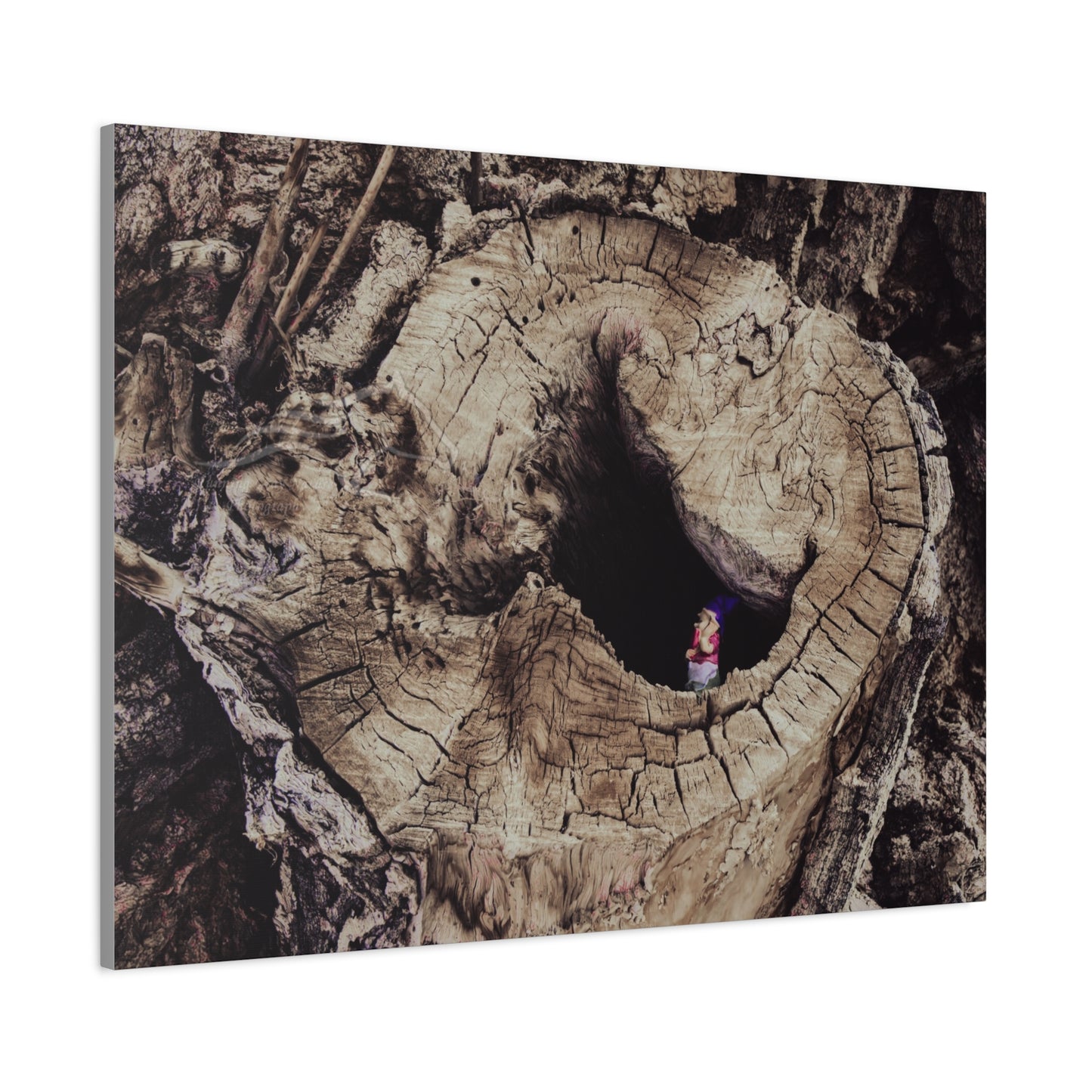 Fairy in a Tree Canvas