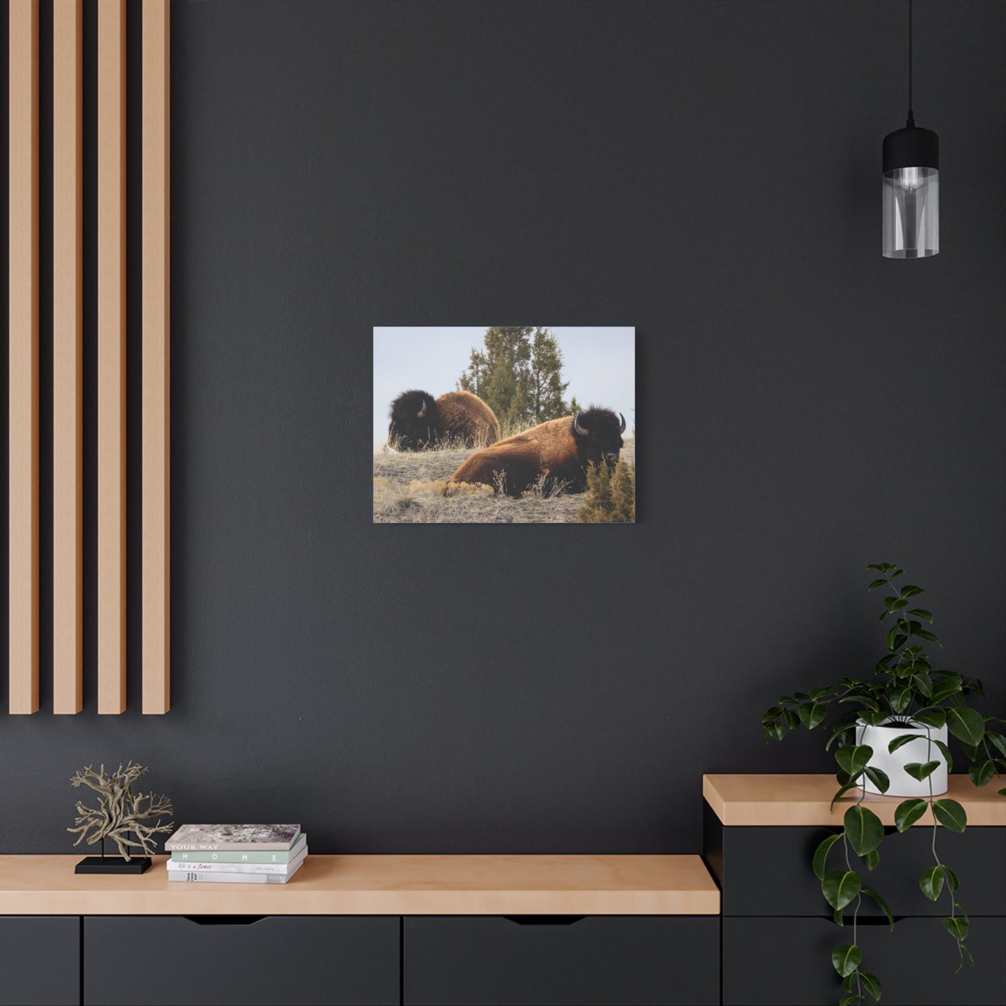 Two Bull Buffalo Canvas