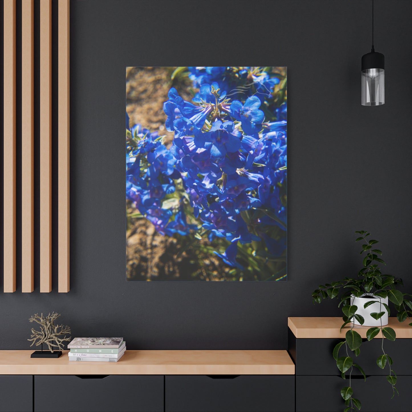 Rocky Mountain Beardtongue Canvas