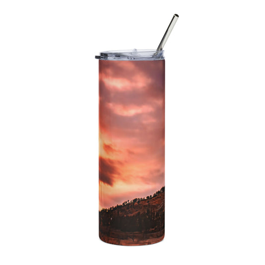 Devils Tower Tumbler
