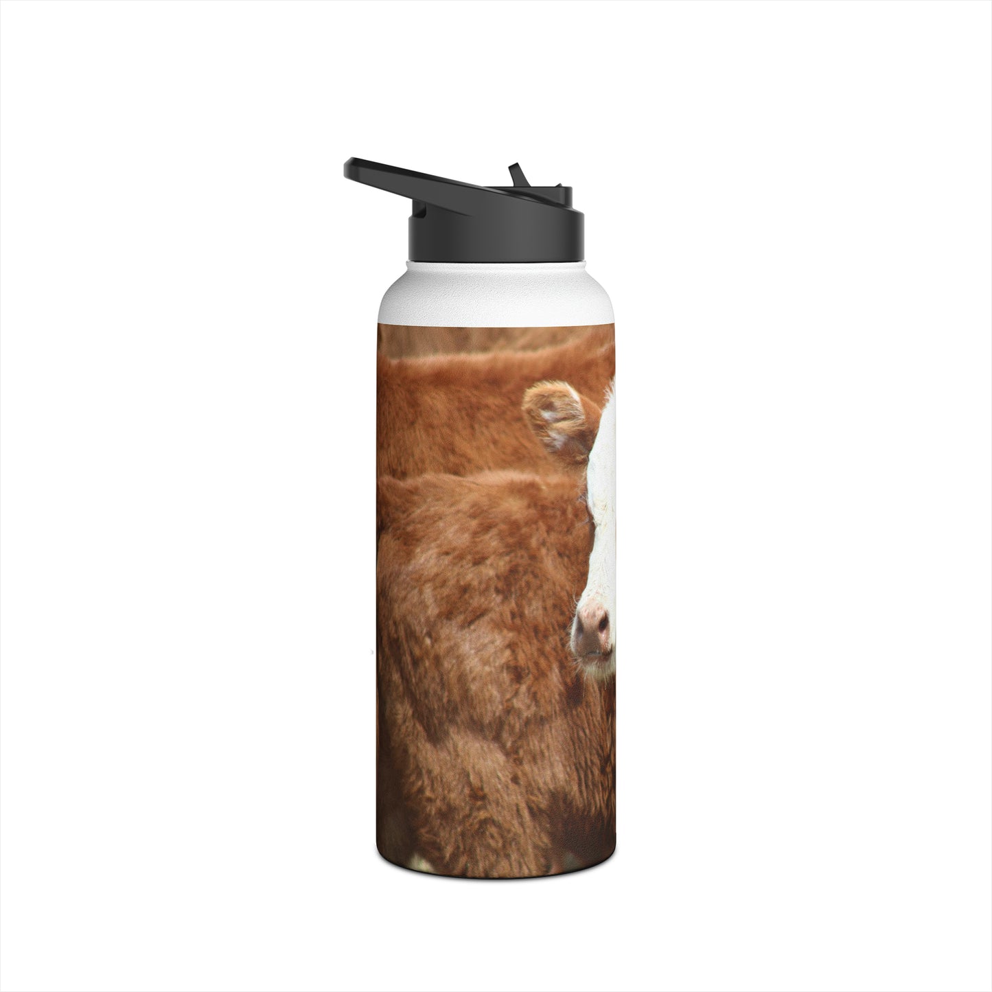 Red, White-Faced Stainless Steel Water Bottle, Standard Lid