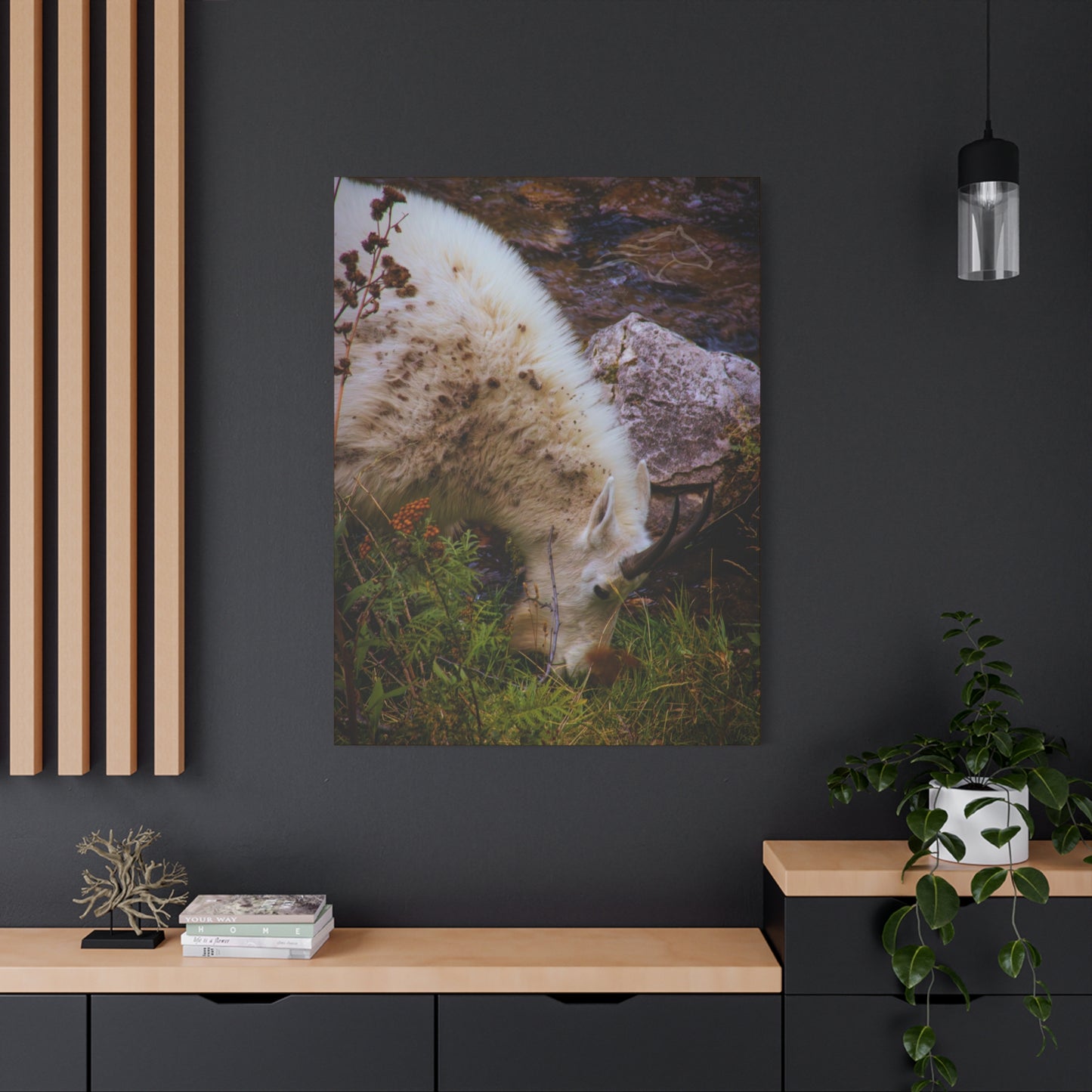 Mountain Goat Canvas