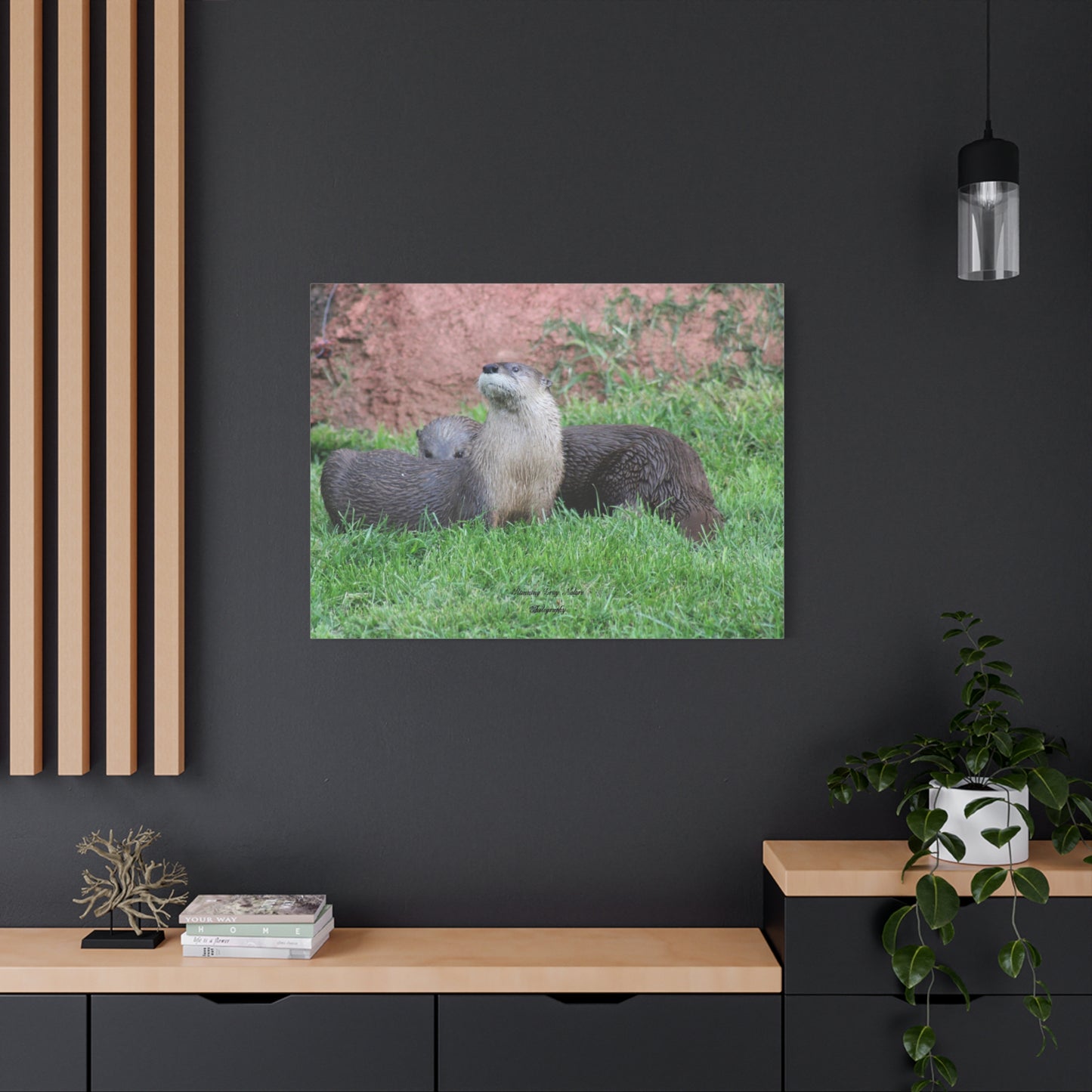 Otter Stare Matte Canvas, Stretched, 1.25"