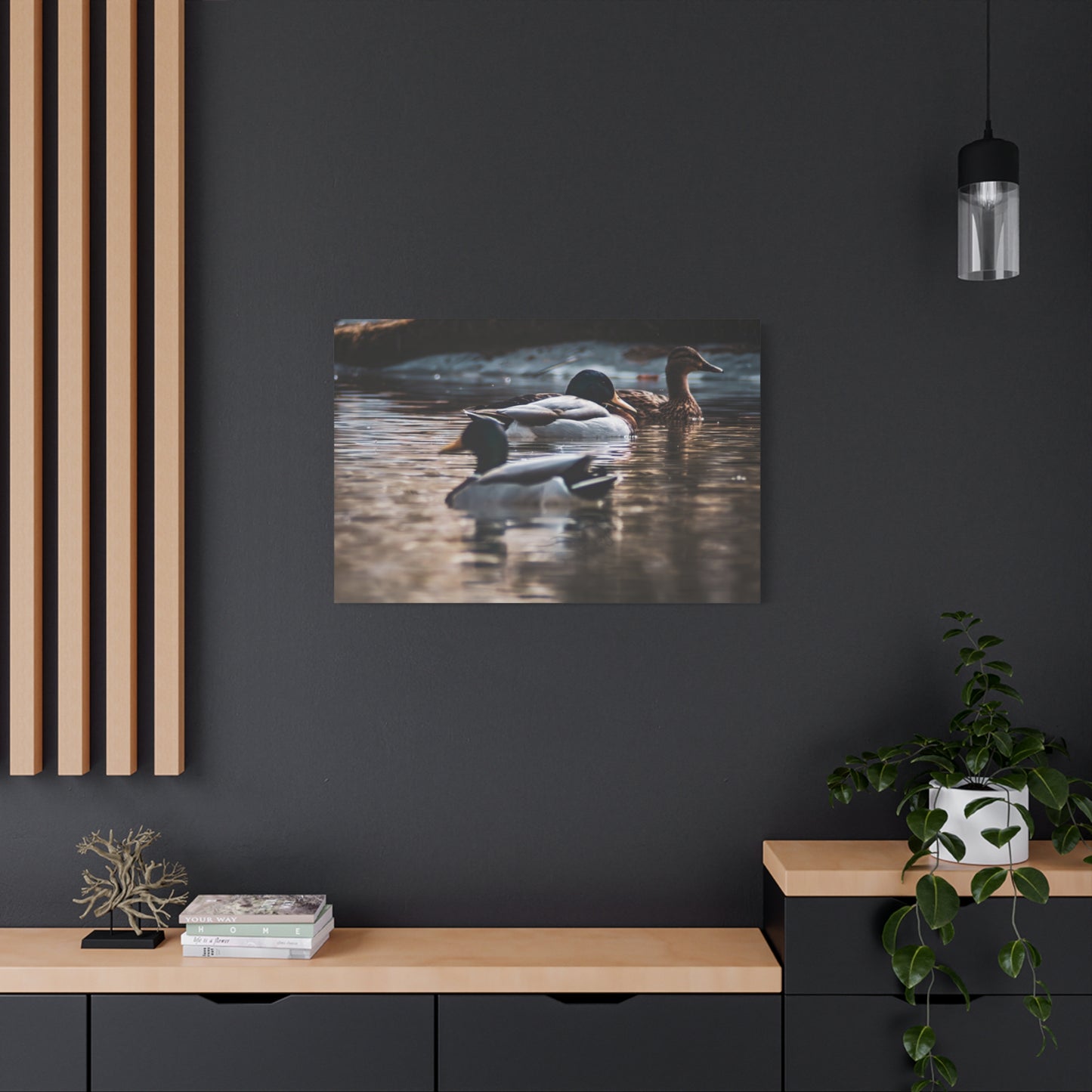 Mallard Ducks Canvas