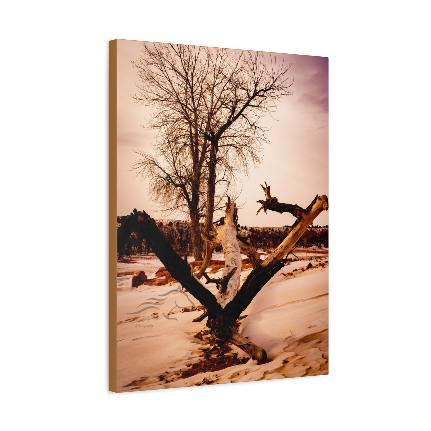 Rustic Landscape Canvas