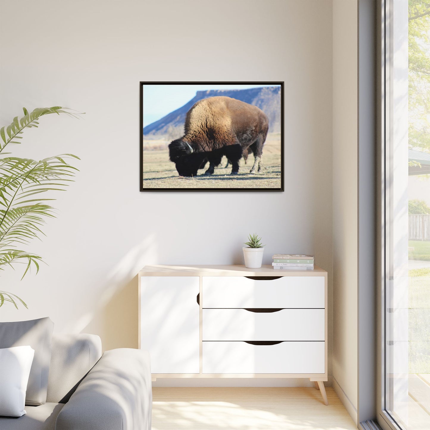 Big Daddy Buffalo Framed Canvas