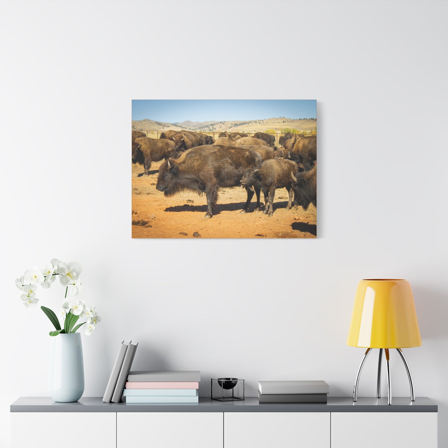 Momma and Baby Buffalo Canvas