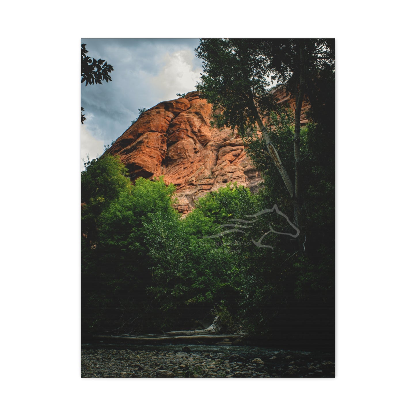 Red Rock Near Ayres Natural Bridge Canvas