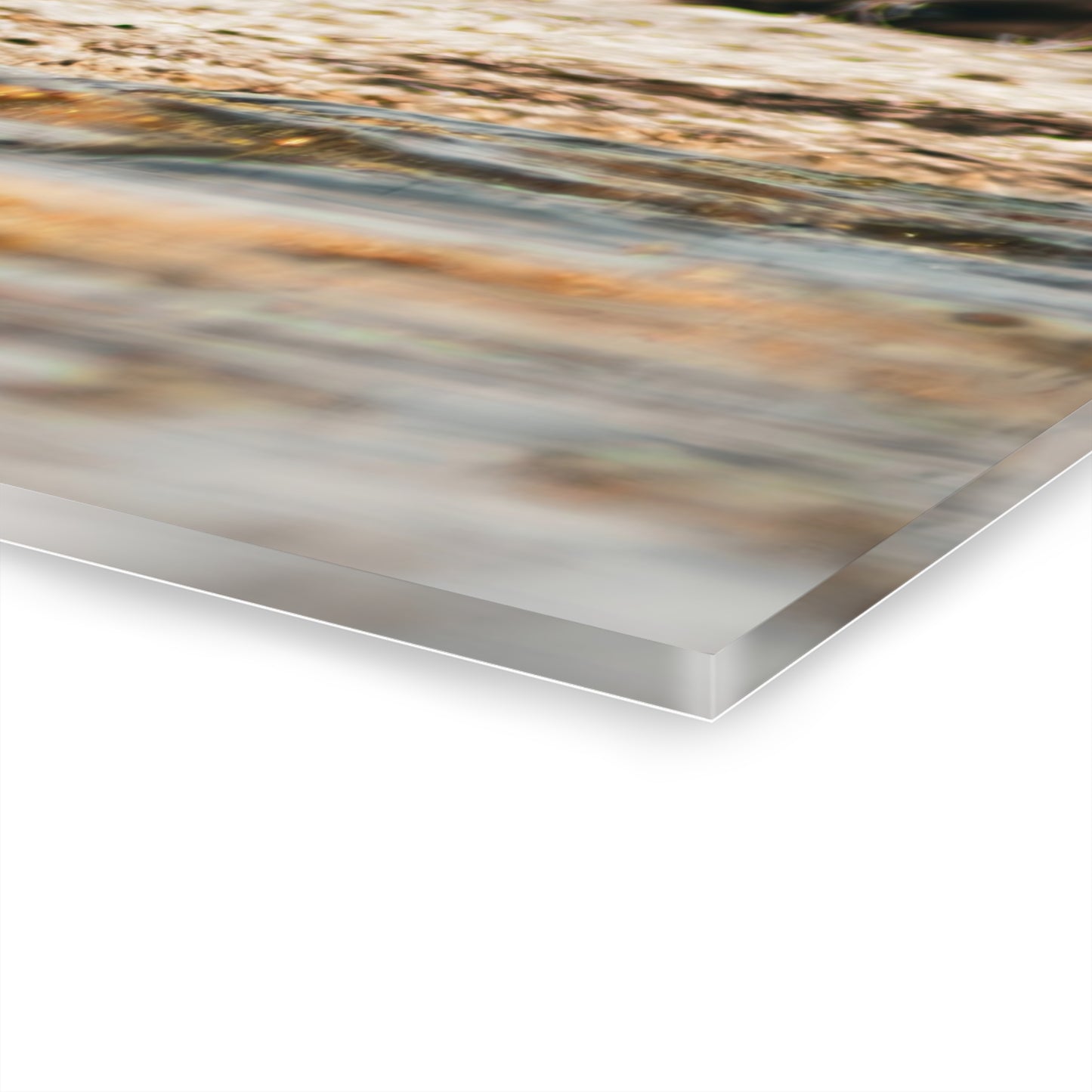 Nature-Inspired Duck Acrylic