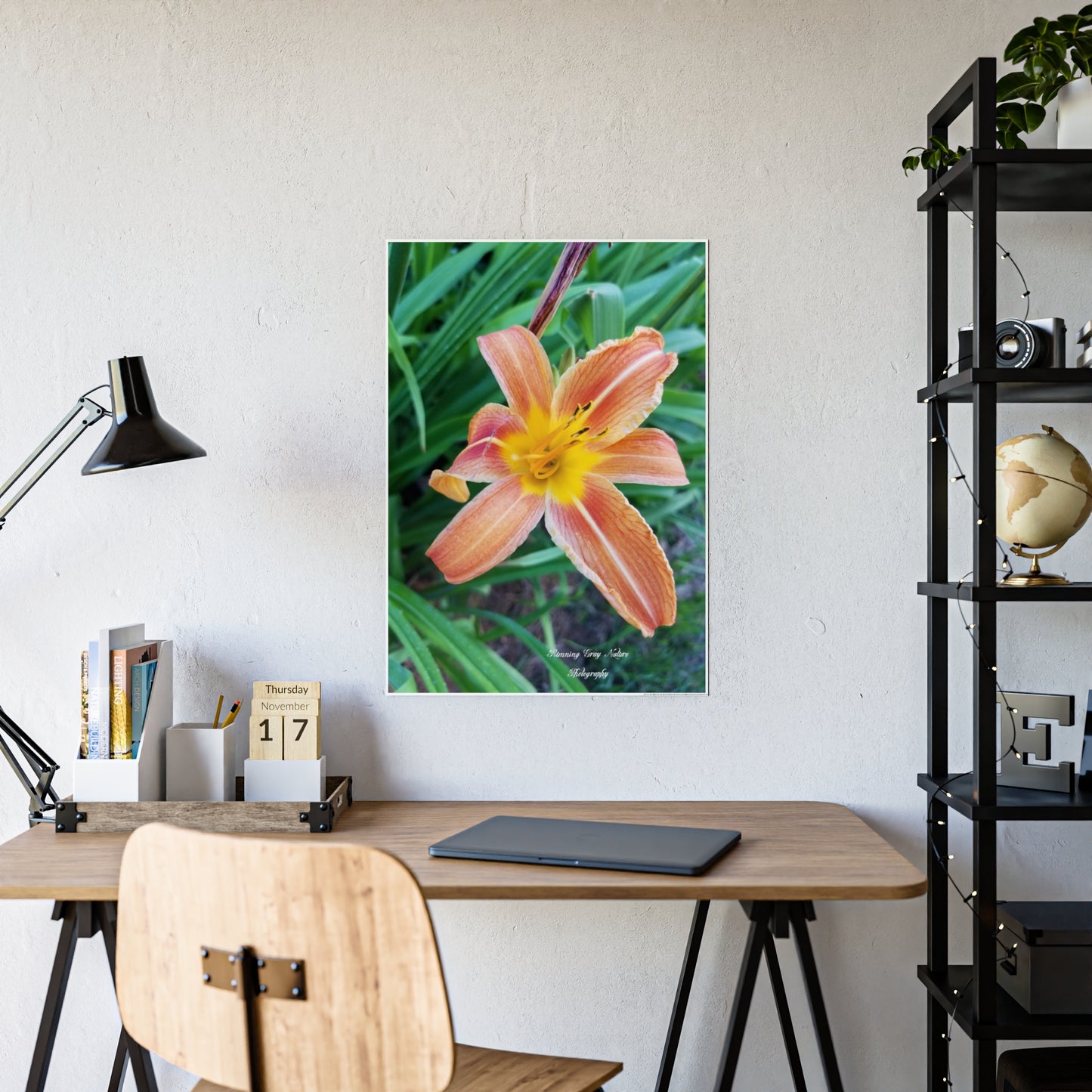 Posters Board Orange Day Lily