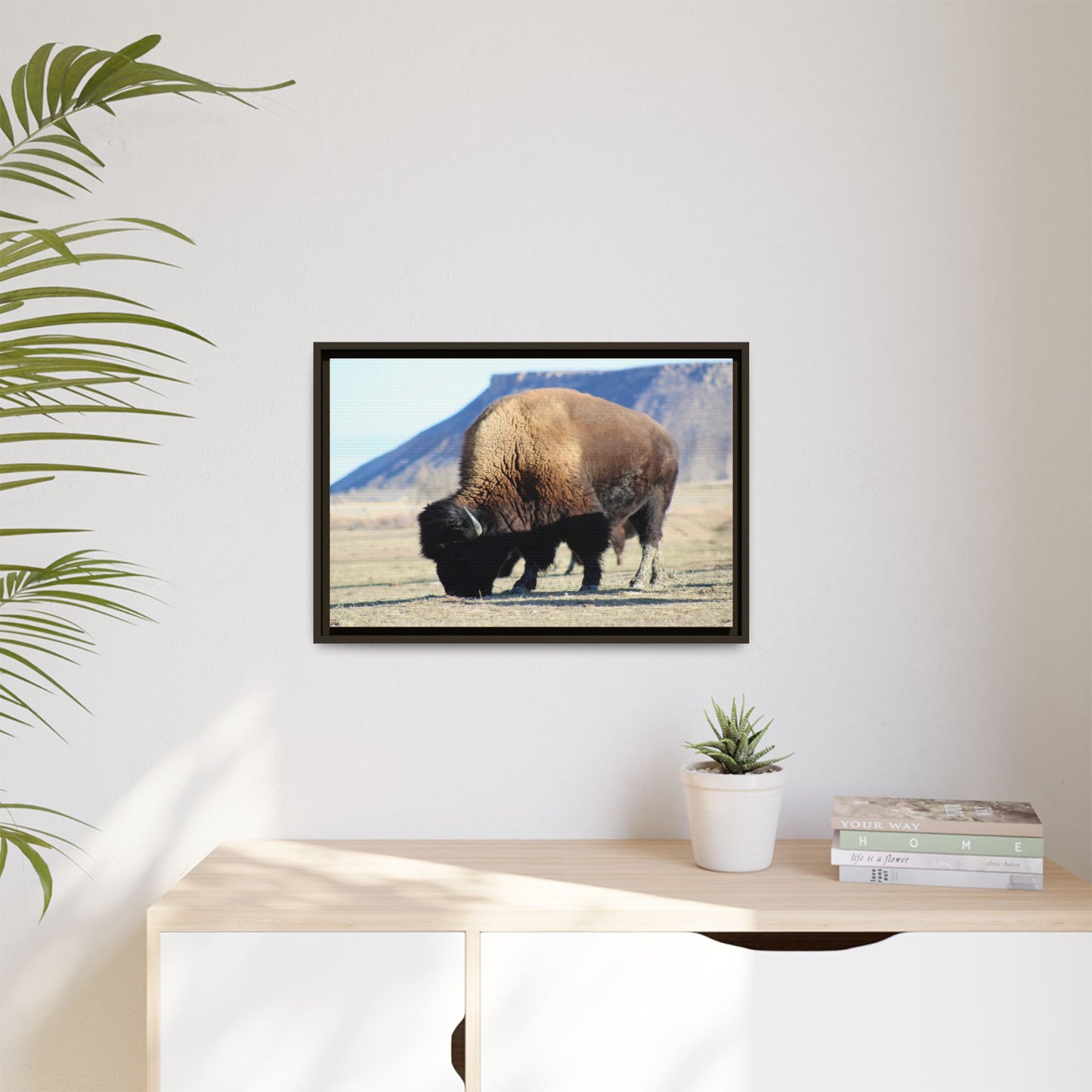Big Daddy Buffalo Framed Canvas