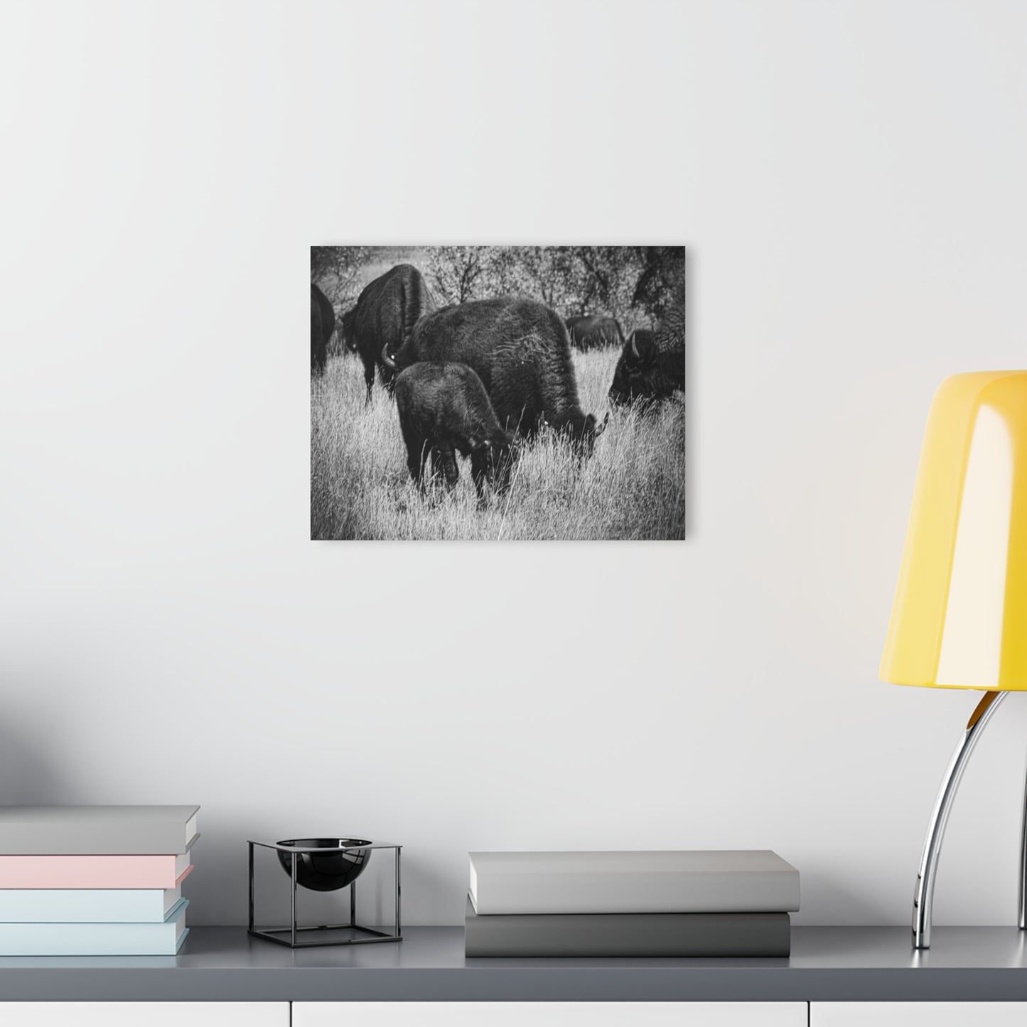 Black and White Buffalo Acrylic