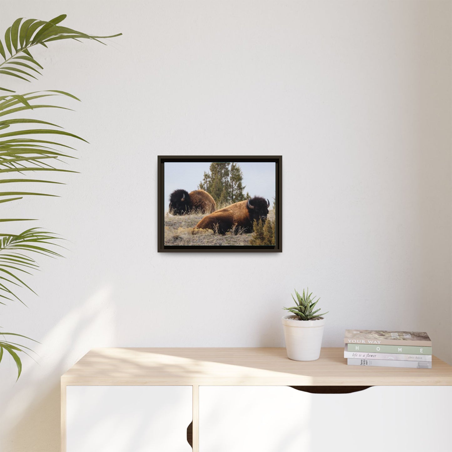 Two Bull Buffalo Framed Canvas