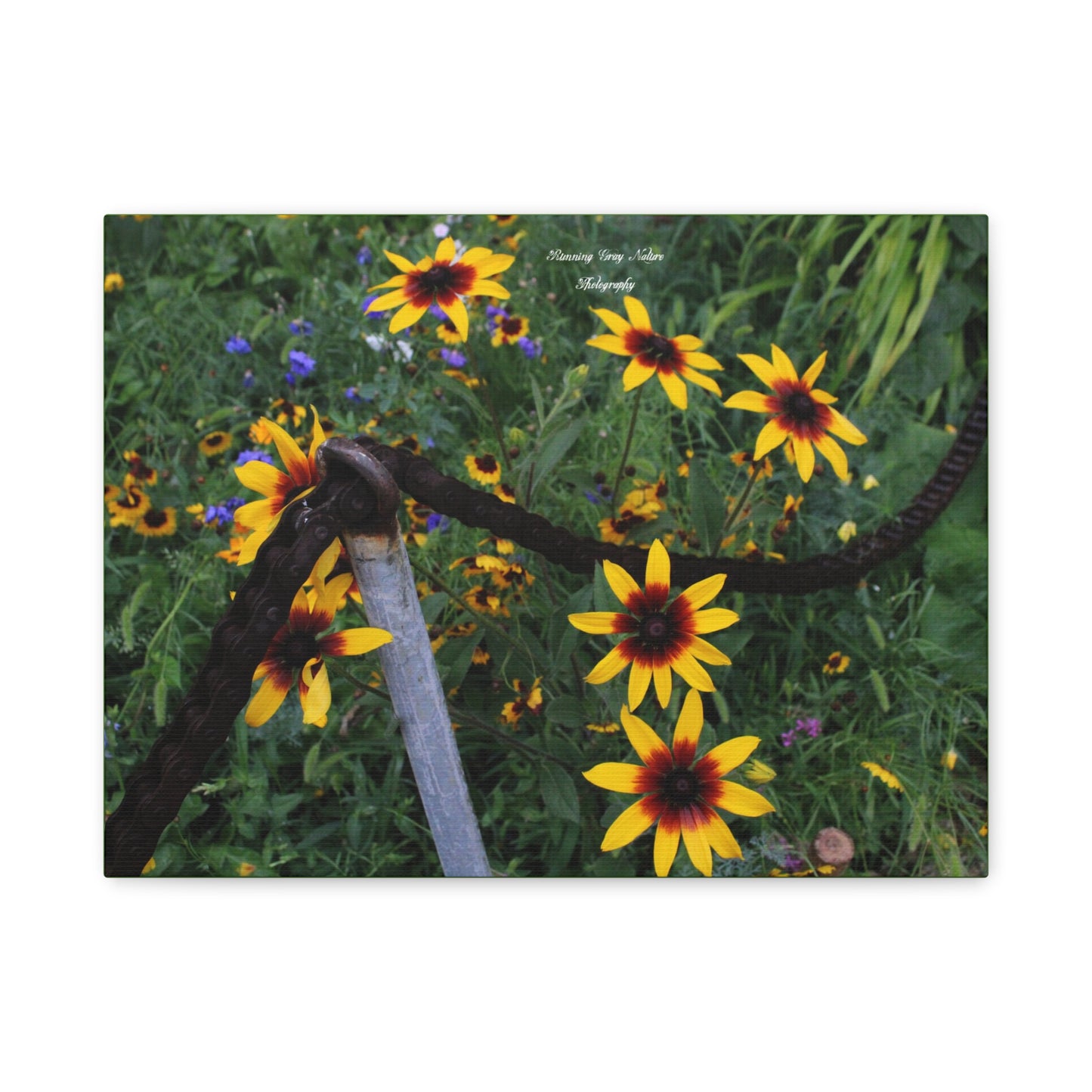 Red and Yellow Sunflowers Matte Canvas, Stretched, 1.25"