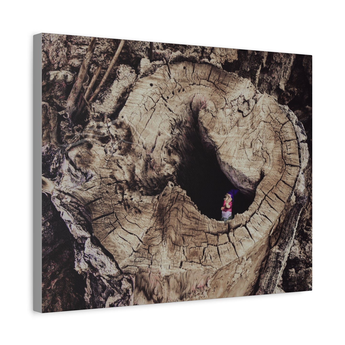 Fairy in a Tree Canvas