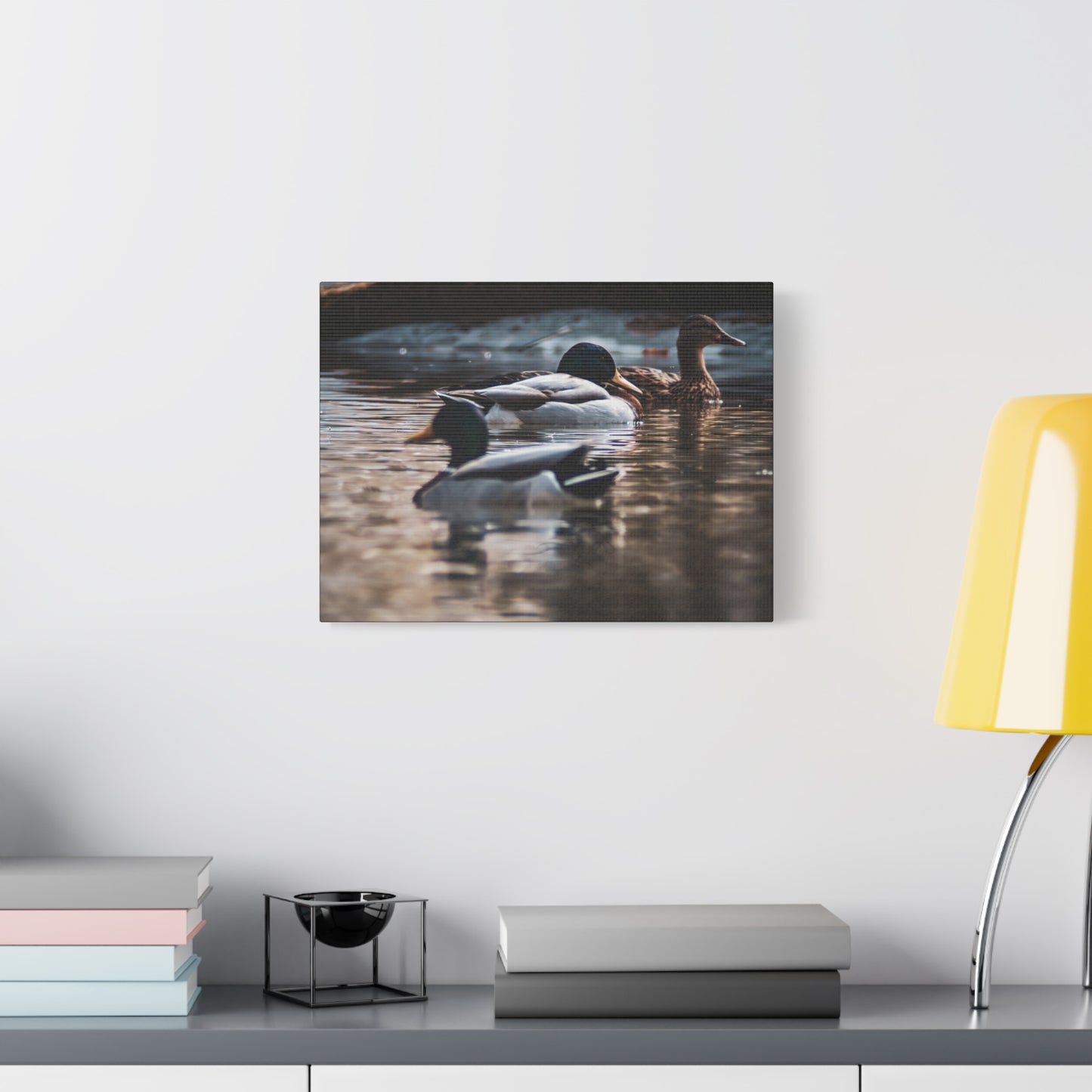 Mallard Ducks Canvas