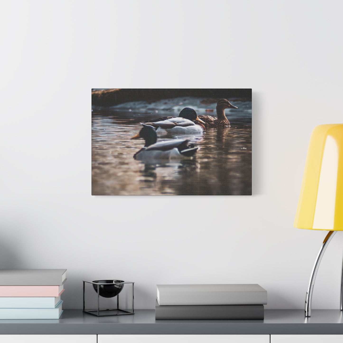 Mallard Ducks Canvas